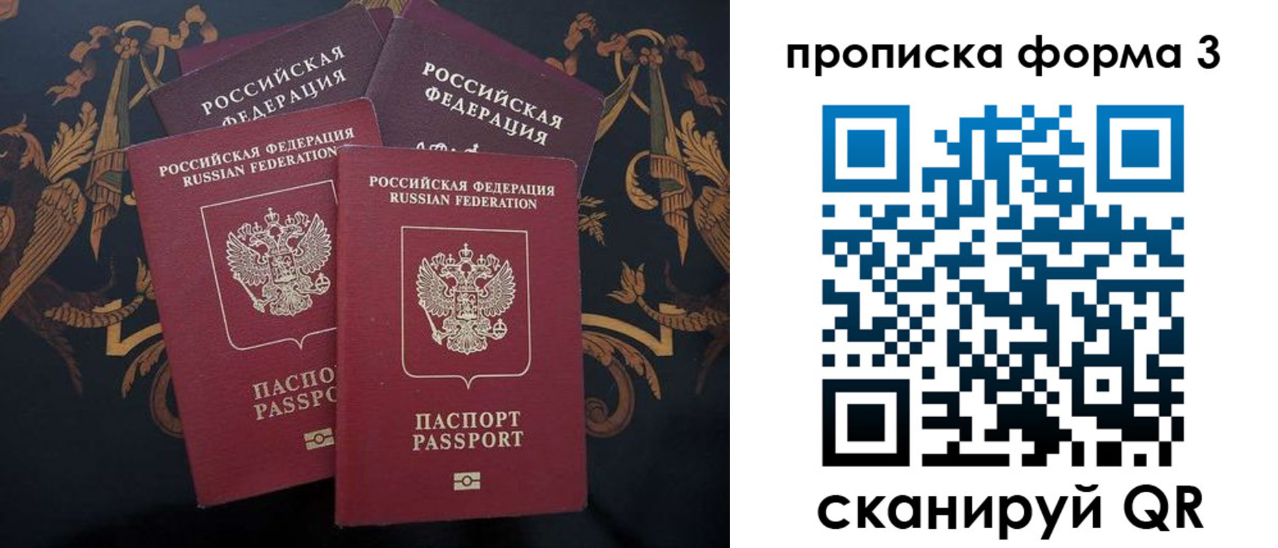 прописка законно в Болотном